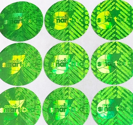2D feito sob encomenda/3D que imprime a etiqueta do holograma da passagem, etiqueta do holograma do vácuo da PASSAGEM